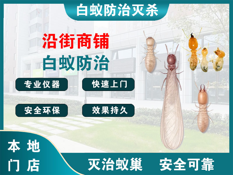 杭州市沿街商铺白蚁防治