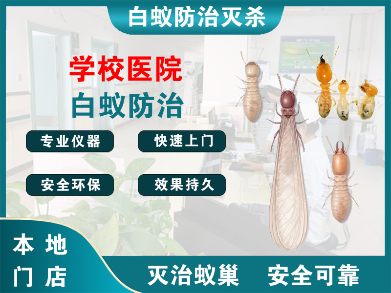 杭州市学校医院白蚁防治