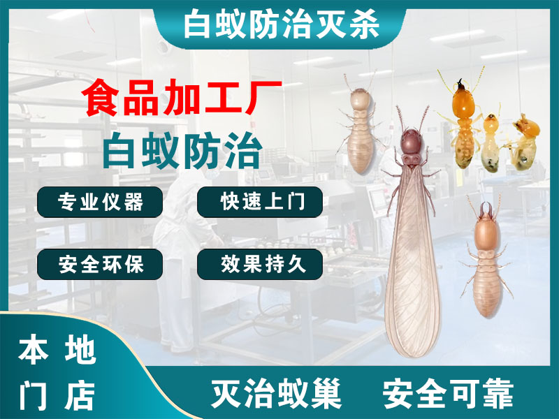 杭州市食品加工厂白蚁防治