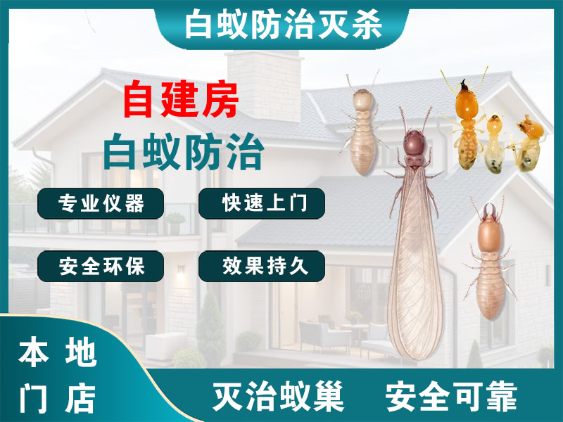 杭州市自建房白蚁防治
