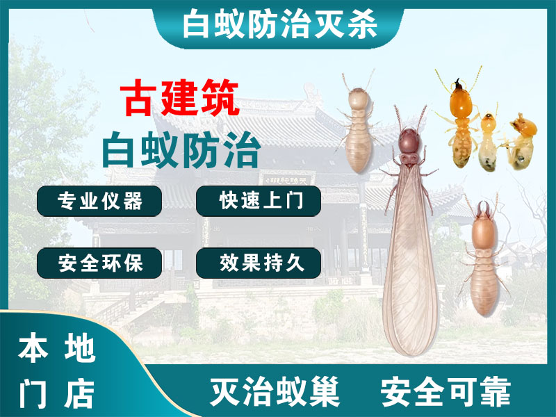 杭州市古建筑白蚁防治