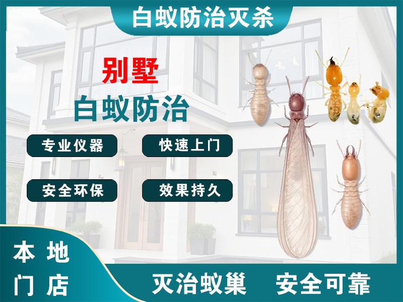 杭州市别墅白蚁防治