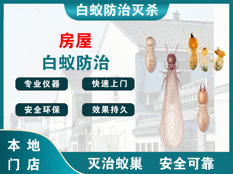 杭州市房屋白蚁防治